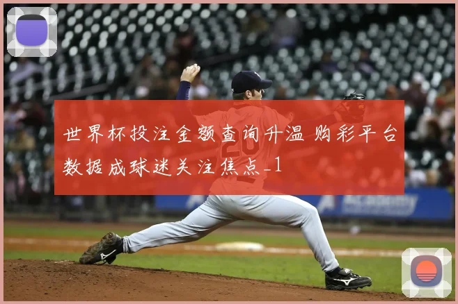 世界杯投注金额查询升温 购彩平台数据成球迷关注焦点_1