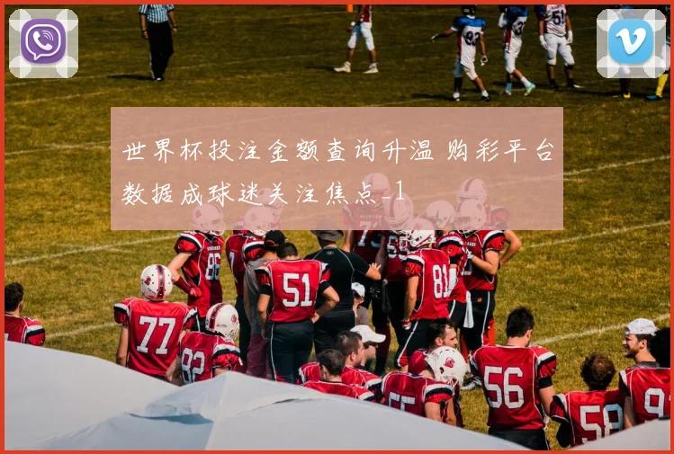 世界杯投注金额查询升温 购彩平台数据成球迷关注焦点_1