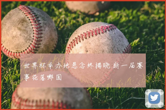世界杯举办地悬念终揭晓 新一届赛事花落哪国