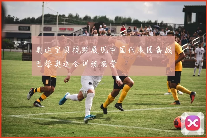 奥运宝贝视频展现中国代表团备战巴黎奥运会训练场景