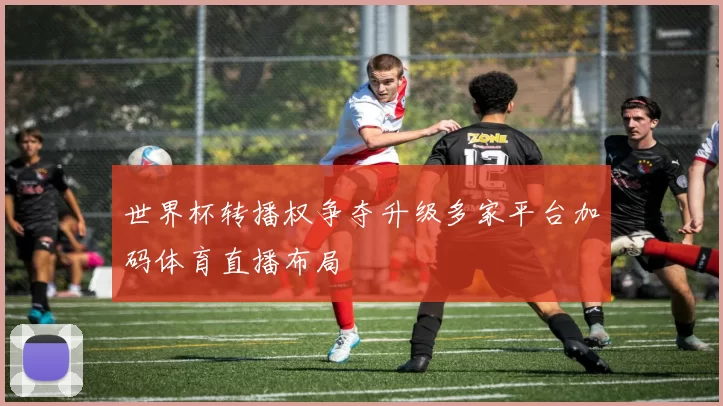 世界杯转播权争夺升级多家平台加码体育直播布局