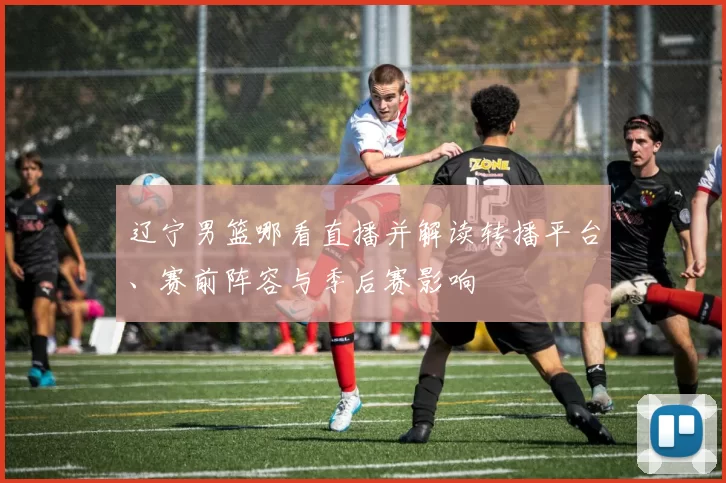 辽宁男篮哪看直播并解读转播平台、赛前阵容与季后赛影响