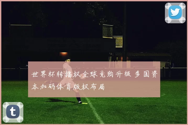 世界杯转播权全球竞购升级 多国资本加码体育版权布局