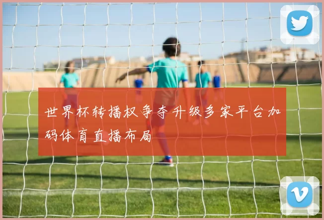 世界杯转播权争夺升级多家平台加码体育直播布局