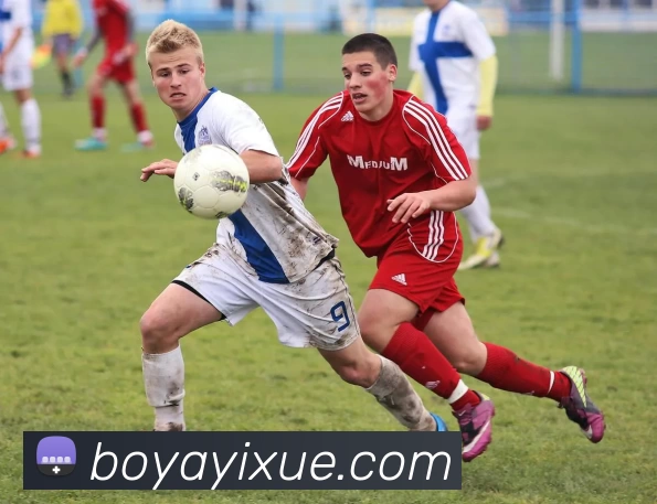 开云app官方在线入口 - 开云kaiyun(中国)服务体系